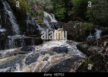 Cascate di Venancios, 'Cachoeira dos Venancios', Cambara do Sul Rio Grande do Sul, basilico, America Meridionale Foto Stock