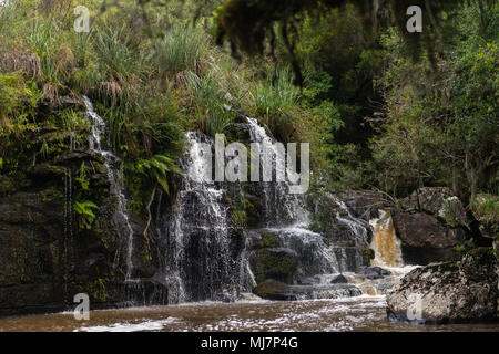 Cascate di Venancios, 'Cachoeira dos Venancios', Cambara do Sul Rio Grande do Sul, basilico, America Meridionale Foto Stock