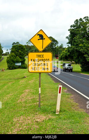 Tree Kangaroo Crossing avvertenza cartello stradale Foto Stock