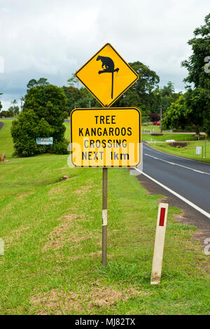 Tree Kangaroo Crossing avvertenza cartello stradale Foto Stock