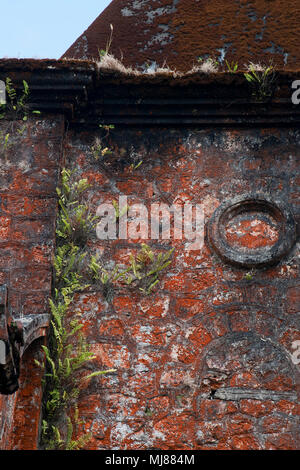 Bokor Hill Station in Cambogia, in vista di piante che crescono su parete in corrispondenza della abbandonato il colonnello francese chiesa cattolica Foto Stock