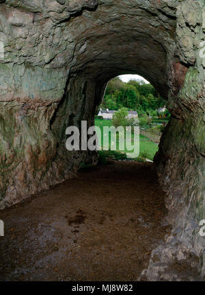 Guardando fuori della principale, ingresso allargato il tunnel per Ffynnon Beuno grotte di calcare da vicino ai cancelli di metallo. Denbighshire, il Galles del Nord. Foto Stock