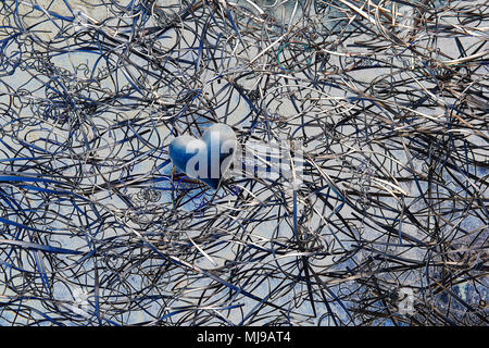 Un blu scuro cuore al centro di un groviglio di i ritagli di carta su uno sfondo di ardesia. Foto Stock