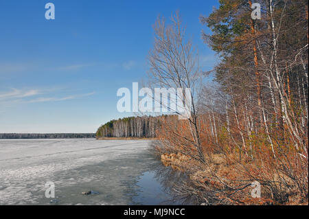 Il ghiaccio sul lago di foresta si fonde il paesaggio di primavera Foto Stock