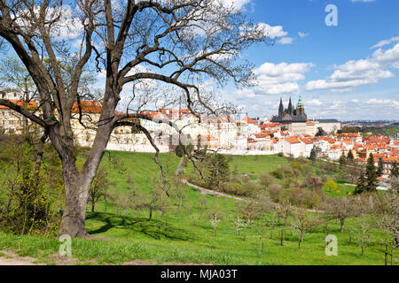 Petrin - Prazský hrad, chram sv. Vita di un quartiere di Mala Strana, Praha (UNESCO), Ceska republika Foto Stock