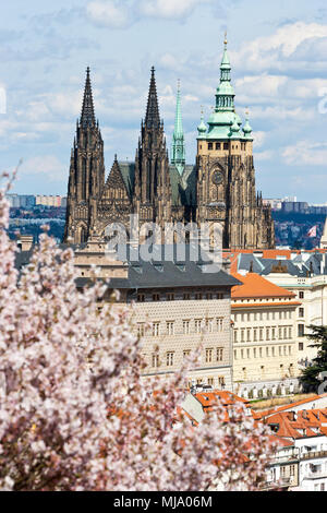 Petrin - Prazský hrad, chram sv. Vita di un quartiere di Mala Strana, Praha (UNESCO), Ceska republika Foto Stock