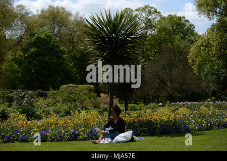 Una donna seduta al sole in Hyde Park, Londra come i britannici sembrano godere di una molla canicola, con lunedì festivo previsioni per essere il più caldo di sempre. Foto Stock