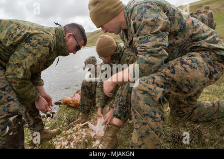 Dopo una dimostrazione dal British Commando, Marines con aria 4 Naval spari Liaison Company, quartier generale della forza di gruppo, strappi il vestito e un pollo durante la formazione di sopravvivenza, in Durness, Scozia, 26 aprile 2018. 4° ANGLICO è in Scozia a prendere parte in Joint Warrior 18-1, un esercizio che favorisce la loro prontezza ed efficacia nei bracci combinato integrazione, piccola unità tattica e navigazione terrestre. Questa formazione mira a migliorare le loro capacità ed efficacia in combattimento e assicura che sono pronti a combattere questa sera. Foto Stock