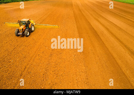 Riprese aeree del contadino con un trattore in campo agricolo semina. I trattori che lavorano sul campo agricolo in primavera. Semi di cotone Foto Stock