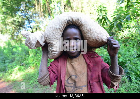 Un giovane raccoglitrice di caffè, portando la sua borsa con ciliegie di caffè al caffè Nefas farm, vicino Shakiso, Etiopia Foto Stock