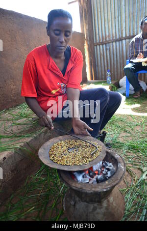 Una signora, torrefazione di caffè a forno, Suke Quto caffè stazione di lavaggio, Etiopia Foto Stock