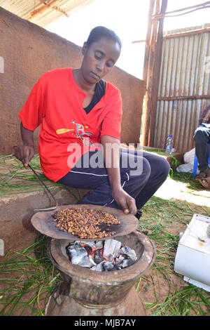 Una signora, torrefazione di caffè a forno, Suke Quto caffè stazione di lavaggio, Etiopia Foto Stock