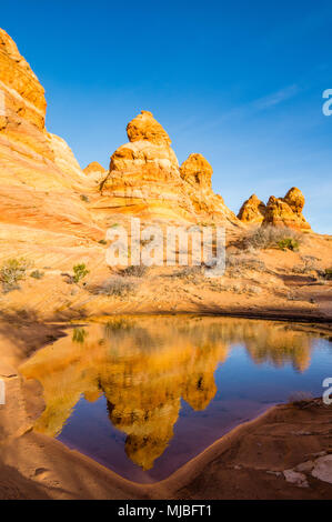 La riflessione di arenaria colorate formazioni tepee pioppi neri americani accesso area sud Coyote Buttes Vermilion Cliffs National Monument in Arizona USA Foto Stock