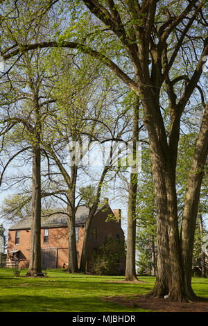 I motivi di Wheatland, la casa di James Buchanan, il quindicesimo presidente degli Stati Uniti. Wheatland è parte di Lancaster Campus di Histo Foto Stock