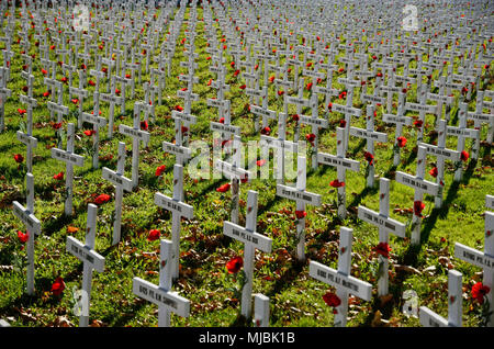 CHRISTCHURCH, Nuova Zelanda, 20 aprile 2018: Un campo di croci rappresenta tutti quelli che sono morti durante la Grande Guerra per un memoriale su Anzac Day Foto Stock