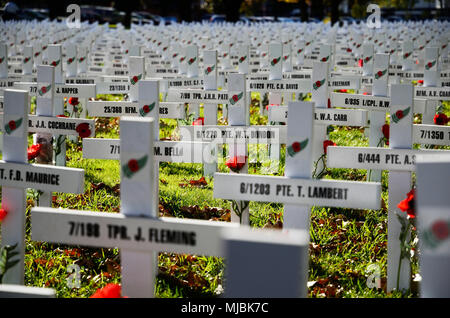 CHRISTCHURCH, Nuova Zelanda, 20 aprile 2018: Un campo di croci rappresenta tutti quelli che sono morti durante la Grande Guerra per un memoriale su Anzac Day Foto Stock