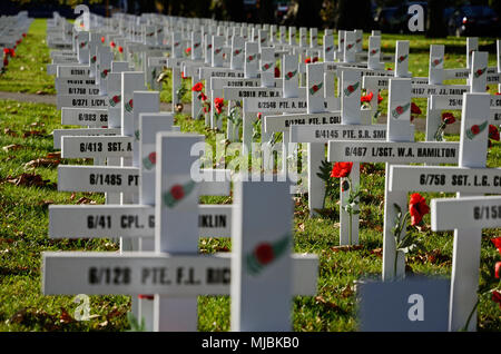 CHRISTCHURCH, Nuova Zelanda, 20 aprile 2018: Un campo di croci rappresenta tutti quelli che sono morti durante la Grande Guerra per un memoriale su Anzac Day Foto Stock