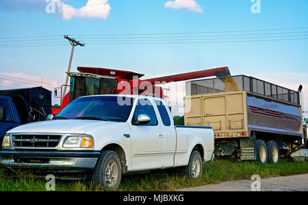 Emporia Kansas, USA, 1 ottobre 2014 agricoltori il raccolto di granturco raccolto al di fuori di Emporia Kansas oggi. Dopo il taglio del mais in campo utilizzando una mietitrebbia dotata di testata mais sulla parte anteriore che prima taglia il grano poi sbuccia che quindi scorre nel vano della tramoggia della mietitrebbia che quando è pieno viene poi scaricata in un grano di bulk del rimorchio del trattore camion per il trasporto al locale elevataor per l'esportazione all'estero. Foto Stock