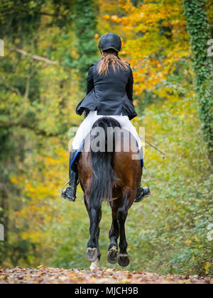 Giovane donna corse su una strada forestale in autunno Foto Stock