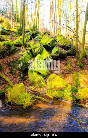 Grosse pietre sul terreno nella valle Karlstal vicino Trippstadt Foto Stock