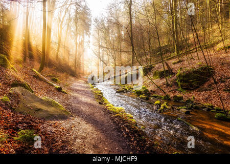Inverno mattina nella valle Karlstal vicino Trippstadt Foto Stock