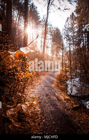 Inverno mattina nella valle Karlstal vicino Trippstadt Foto Stock
