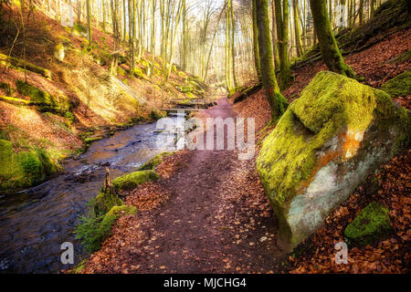 Inverno mattina nella valle Karlstal vicino Trippstadt Foto Stock
