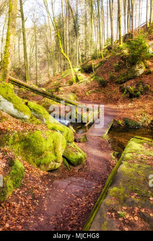 Inverno mattina nella valle Karlstal vicino Trippstadt Foto Stock