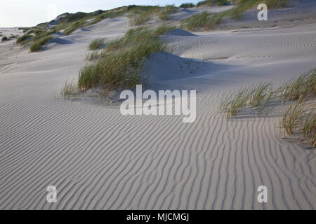 Kniepsand, isola di Amrum, il Mare del Nord, il parco nazionale di Schleswig-Holstein il Wadden Sea National Park, SCHLESWIG-HOLSTEIN, Germania, Foto Stock