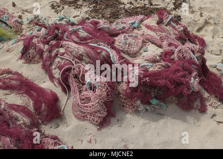 Le reti da pesca lavato fino sulla spiaggia Foto Stock