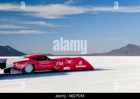 L'auto-costruito auto racing, Bonneville Speed Week, fantastica Salt Lake, Utah, Stati Uniti d'America Foto Stock