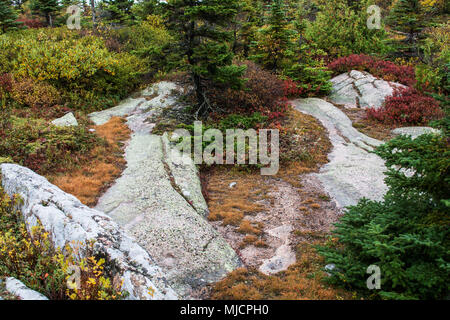 Rocce di granito nel Parco Nazionale di Acadia vicino a Bar Harbor negli Stati Uniti Foto Stock