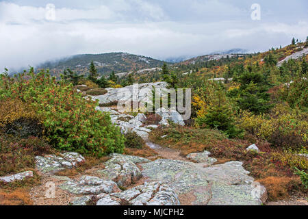 Rocce di granito nel Parco Nazionale di Acadia vicino a Bar Harbor negli Stati Uniti Foto Stock