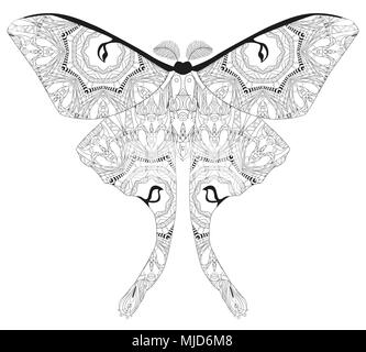 Butterfly zentangle stile con linee pulite per il libro da colorare per anti stress, T-shirt design, tattoo e altre decorazioni Illustrazione Vettoriale