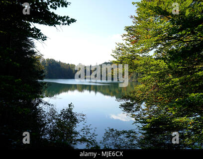 In Germania, in Baviera, Baviera, Chiemgau, Eggstätt Hemhofer Seenplatte (lakeland), Einbessee (lago) Foto Stock