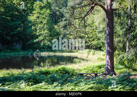 La banca a Kohullet, un idilliaco lago di piccole dimensioni in Almindingen, Europa, Danimarca, Bornholm, Foto Stock