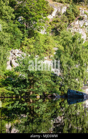 La riflessione in un piccolo lago nel entroterra di Vang, Europa, Danimarca, Bornholm, Foto Stock