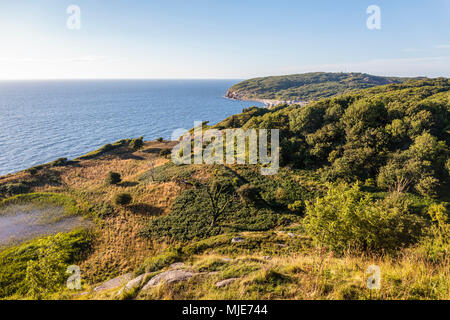 Vista dalle rovine di Hammershus a nord sulla Hammerknuden, Europa, Danimarca, Bornholm, Foto Stock