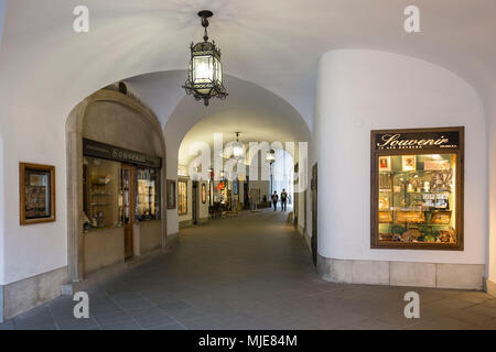 Hofburg passaggio con negozi di souvenir, 1° distretto di Vienna, Austria Foto Stock