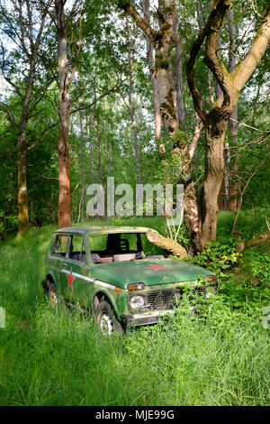 Auto rottamata nel bosco Foto Stock