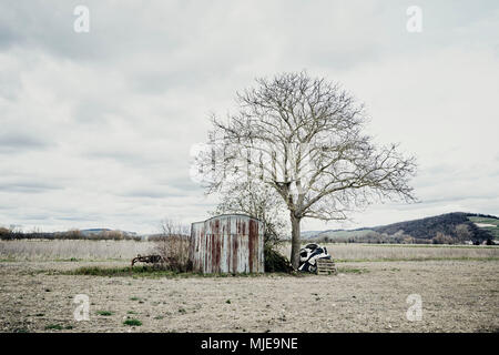 Il vecchio capannone fatta di ferro corrugato sul prato con albero, autunno Foto Stock