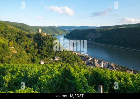 Il castello di Gutenfels, Kaub, Renania-Palatinato, Germania, Europa Foto Stock