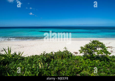 Una bellissima spiaggia di sabbia bianca e acqua turchese in Providenciales, Turks e Caicos Foto Stock