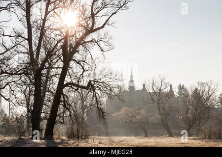 Europa, Polonia, Voivodato Masovian, Kamienczyk Foto Stock