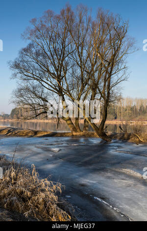 Europa, Polonia, Voivodato Masovian, Kamienczyk Foto Stock