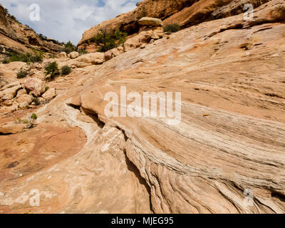 Lithification di dune di sabbia è il processo di tornitura di sabbia non consolidate nella roccia noto come pietra arenaria, comune nel sud-ovest degli Stati Uniti Foto Stock