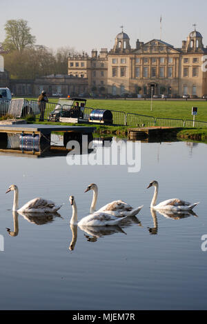 Gloucestershire, Regno Unito. Il 5 maggio 2018. Cigni nella parte anteriore del Badminton House del 2018 Mitsubishi Motors Badminton Horse Trials, Badminton, Regno Unito. Jonathan Clarke/Alamy Live News Foto Stock