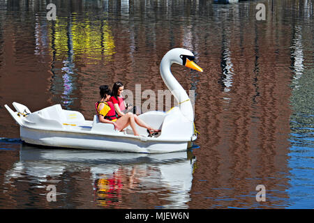 Liverpool, Regno Unito. Il 5 maggio 2018. Regno Unito meteo, coloro che godono di una corsa su una gigante pedalò swan di Albert Dock sul lungomare di Liverpool nel caldo May Bank Holiday sunshine. Credito; Ken Biggs/Alamy Live News. Foto Stock