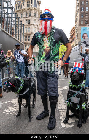 New York, Stati Uniti d'America, 5 maggio 2018. US Army veterano Joshua Ace Acevedo partecipa con i suoi cani di servizio "Bruce Lee" (R) e Ariete nel 2018 NYC Cannabis parade, a quattro decenni di antica tradizione nella città di New York per chiedere un fine al divieto di cannabis. Foto di Enrique Shore / Alamy Live News Foto Stock