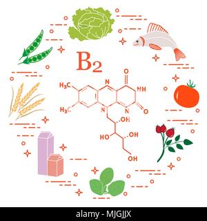 Gli alimenti ricchi di vitamina B2. Cavolo, pesce, pomodoro, rosa canina, spinaci, latte, frumento, piselli. Illustrazione Vettoriale